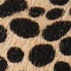 Tan Leopard Dot