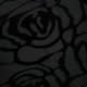 Black Rose Velvet