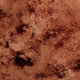 Walnut Crushed Velvet