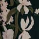 Orchids