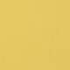 Surfboard Yellow