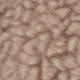 Shroom Taupe