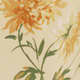 Honeyglow