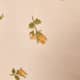 Rosebud