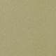 Olive Oil