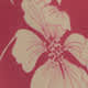 Lychee