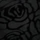 Black Rose Velvet