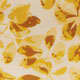 Goldfinch