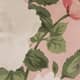 Rose Garden