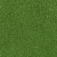 Moss