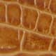 Nutmeg Croc-Effect