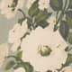 Tarragon