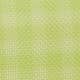 Green Gingham Mesh