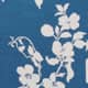 Cyanotype