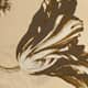 Umber