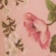 Rose Garden