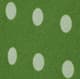 Salad Dot