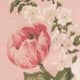Rose Garden