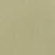 Olive Oil