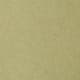 Olive Oil