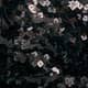 Black Sequin