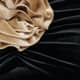 Black Champagne Velvet