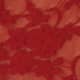 Red Lace