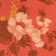 Fleurs corail