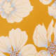 Mangue