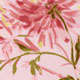 Chrysanthemum