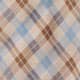 Brown Blue Check