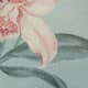 Venus Orchid