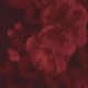Sanguine