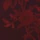 Sanguine