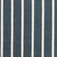Long Island Stripe