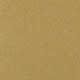 Gold Coin