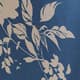 Cyanotype