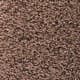 Chocolate Sparkle