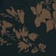 Night Garden
