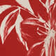 Tahitian Lily
