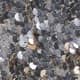 Silver Sequin
