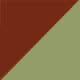 Tortoise/green