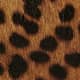 Leopard Haircalf