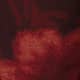 Sanguine