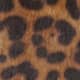 Leopard Haircalf