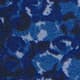 Blue Rose