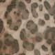 Leopard Mesh