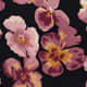 Pansy