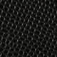 Black Snake