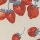 Strawberry Jam